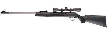 ruger air rifle scaled 012421.jpg